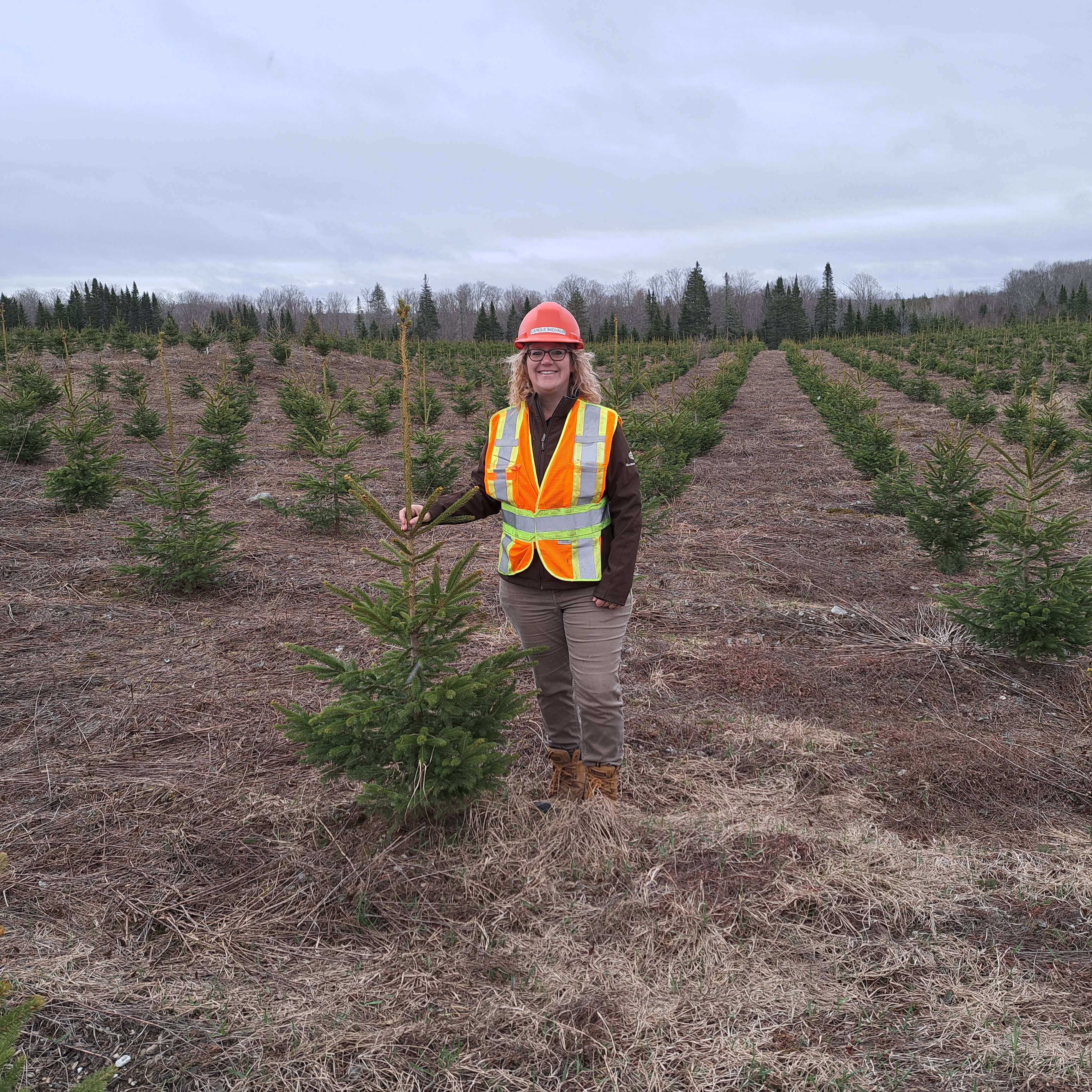 Carole Michaud Headshot WOTWF Story 2025